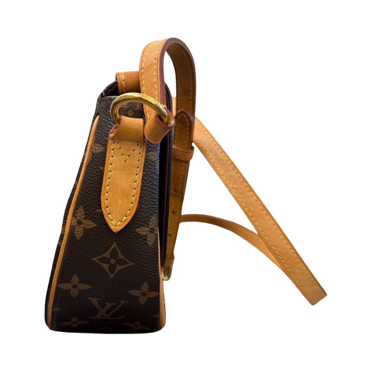 Louis Vuitton Canvas Monogram Saint Cloud