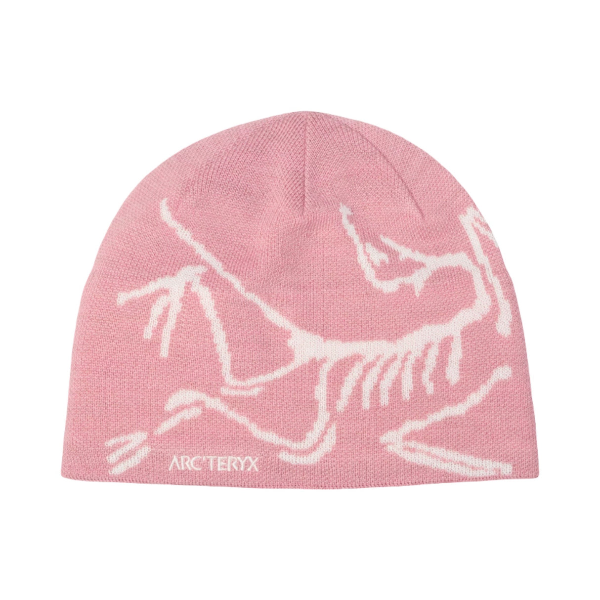 Arc'teryx Beanie Bird Head Bliss Arctic Silk