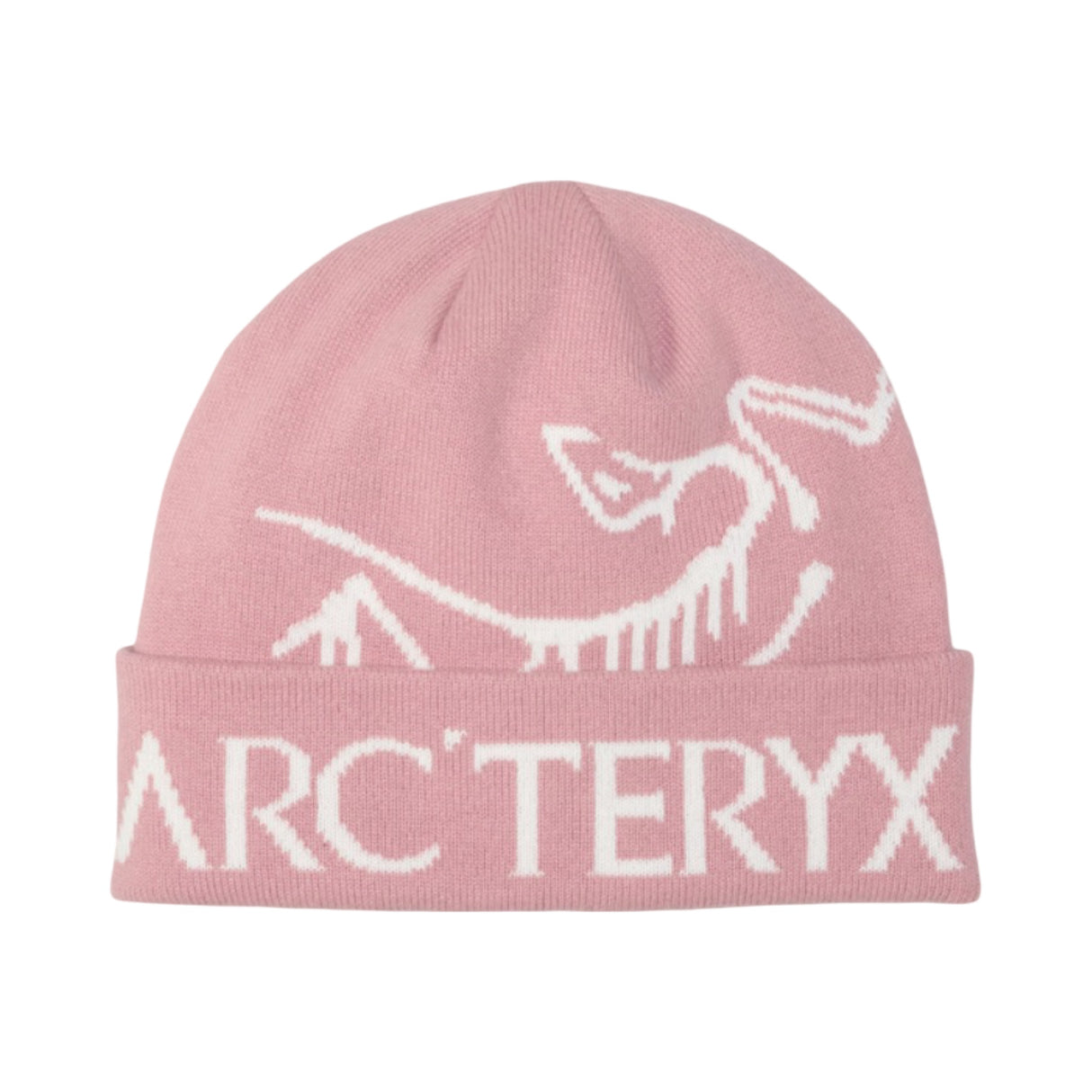 Arc'teryx Bird Word Mütze Bliss Arctic Silk