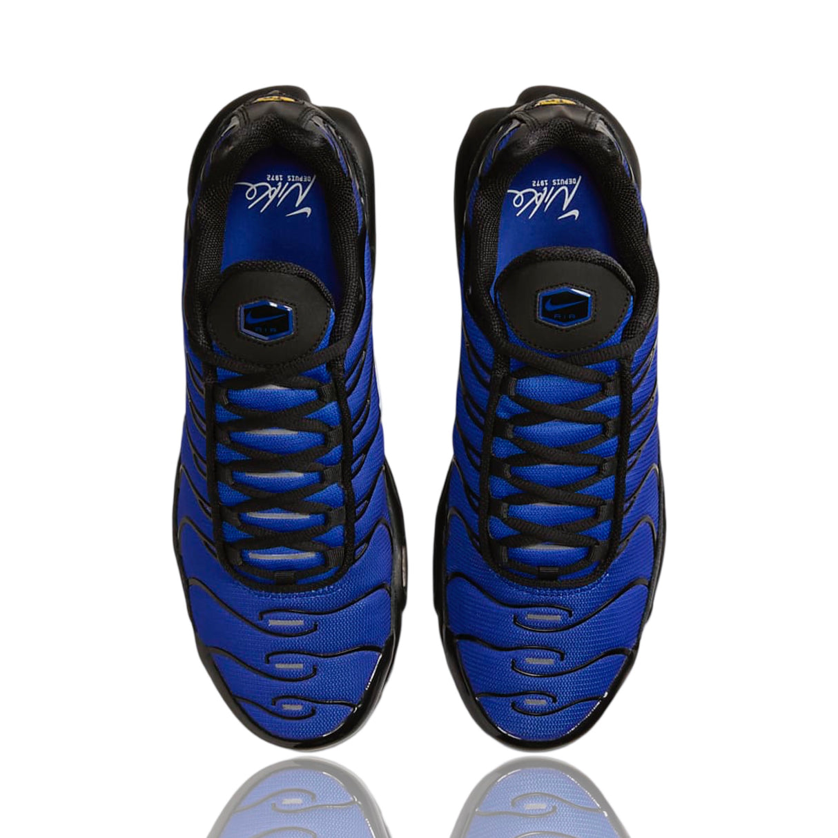 Nike Air Max Plus Racer Blue