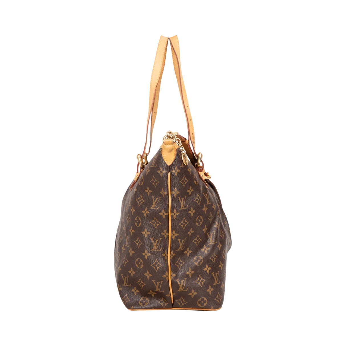 Louis Vuitton Pochette Accessories Damier