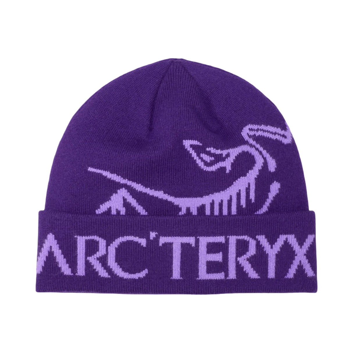 Arc'teryx Bird Word Mütze Azalea / Aster