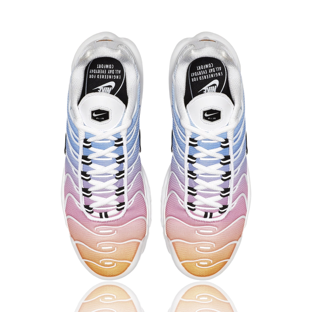 Nike Air Max Plus Summer Gradient