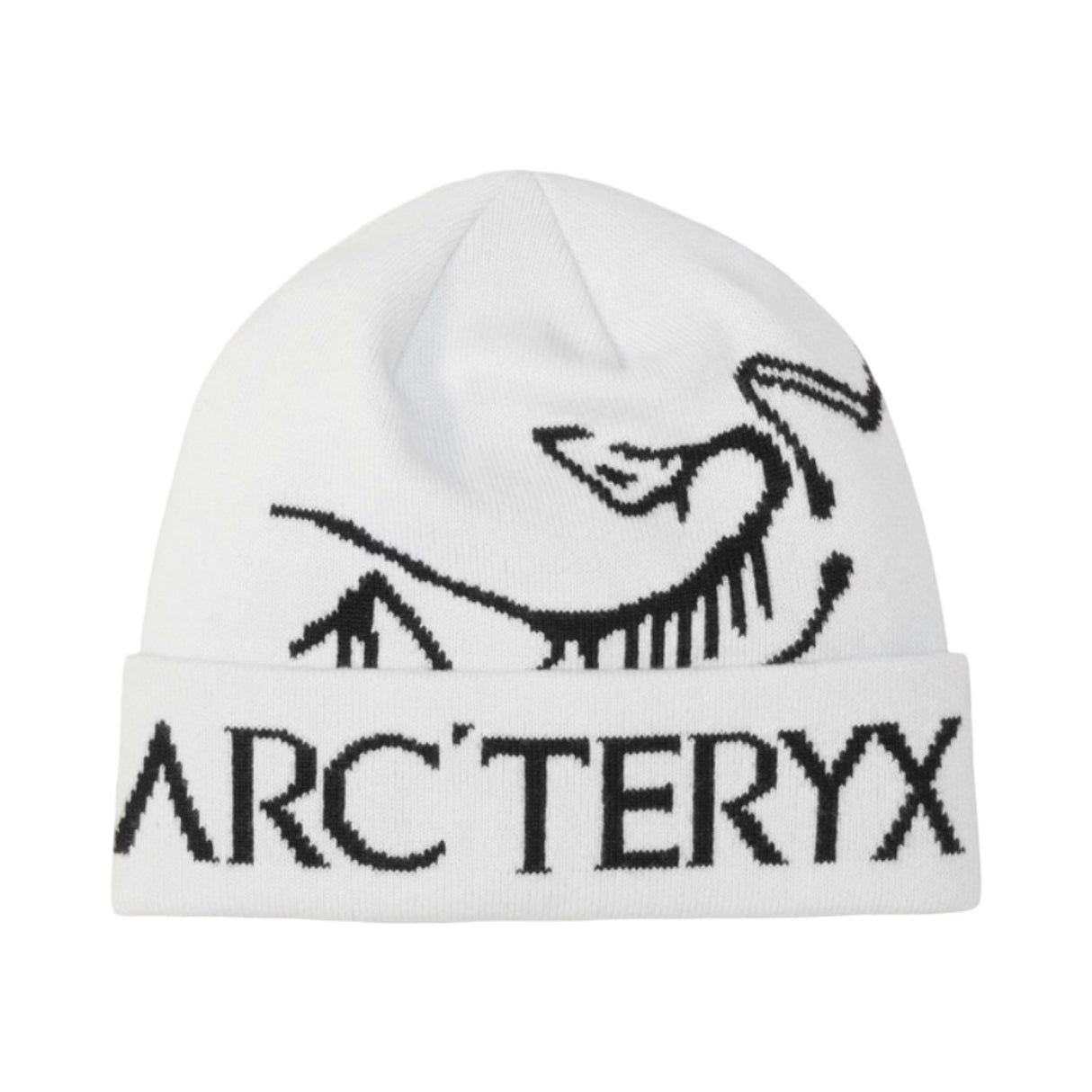 Arc'teryx Bird Word Mütze Orca