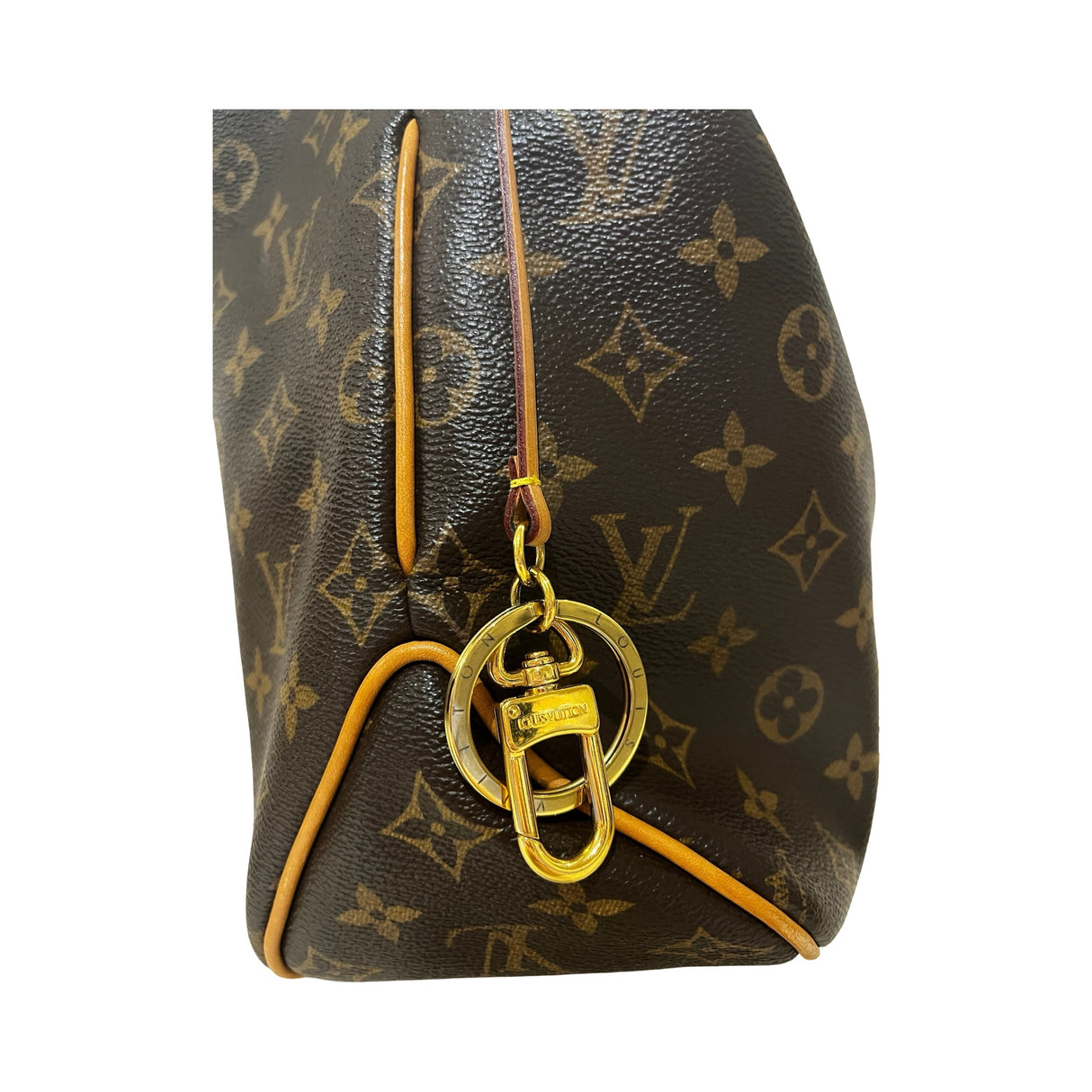 Louis Vuitton Delightful PM Monogram